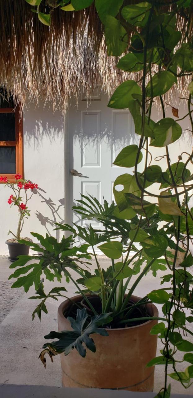 Poza Clara Sanctuary Hotell Bacalar Eksteriør bilde